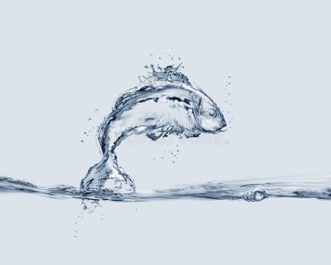 Jumping Into Water, Rainy Wallpaper, Ancient Tools, Water Images, Glass Photography, Super Powers Art, Water Drawing, Fish Stock, Creative Advertising Campaign