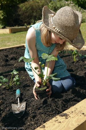 Spring Birthday Party, Spring Garden Party, National Wildlife Federation, Spring Birthday, Children's Garden, Garden Birthday, Starting A Garden, Strawberry Plants, Gardening For Kids