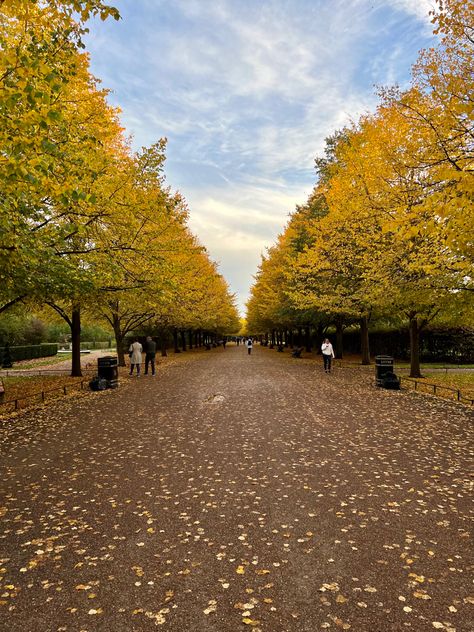 Regents Park Fall In London, London Parks, Greenwich Park, Regents Park, London Park, Autumn Scenery, In London, Golf Courses, London