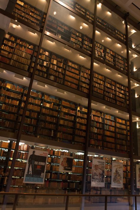 Yale Library, Yale Aesthetic, Harvard Library, Boarding School Aesthetic, College Motivation, Dream Library, Library Architecture, Library Aesthetic, College Aesthetic