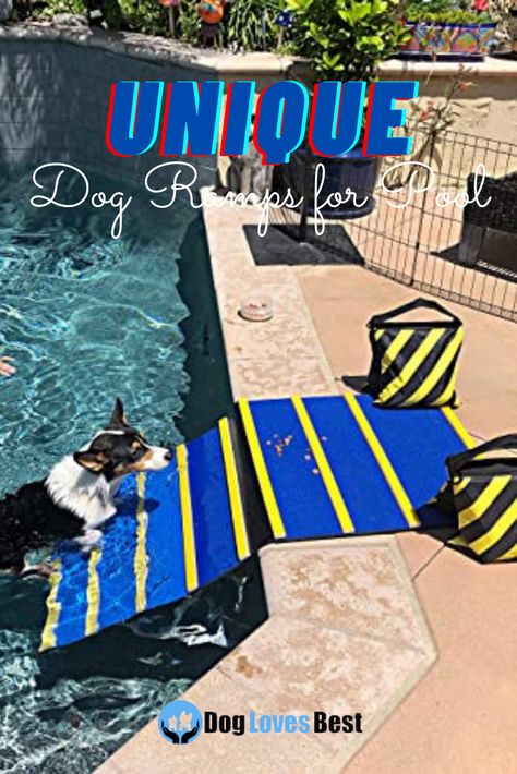 Dog pool exit ramp Dog Dock Ramp, Diy Dog Ramp For Above Ground Pool, Above Ground Pool Dog Ramp, Diy Dog Pool Ramp, Pool Dog Ramp, Diy Dog Ramp, Dog Boat Ramp, Swimming Pool Above Ground, Pool Ramp