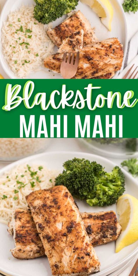 Blackstone Mahi Mahi Recipes, Mahi Mahi Recipes Blackstone, How To Cook Mahi Mahi On The Grill, Blackstone Grill Fish Recipes, Blackstone Fish Recipe, Mahi Mahi Blackstone, Blackstone Mahi Mahi, Tuna On Blackstone Griddle, Mahi Mahi On Blackstone