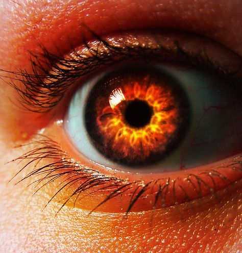 Rare Eye Colors, Rare Eyes, Fire Eyes, Beautiful Eyes Color, The Darkest Minds, The Old Republic, Magic Aesthetic, Magic Eyes, Aesthetic Eyes