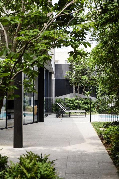 House tour: Elwood Melbourne house by Matyas Architects and Nina Provan - Vogue Australia Matyas Architects, Pool Gardens, Pool Landscape Design, Modern Landscape Design, Melbourne House, Pool Fence, Swimming Pools Backyard, Modern Patio, Courtyard Garden