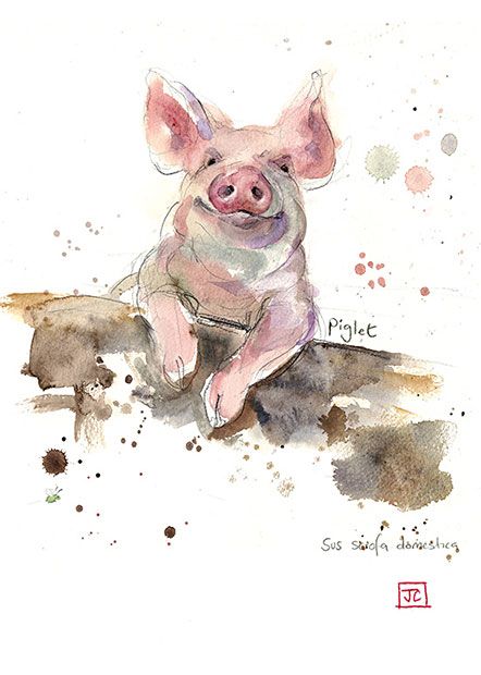 Akvarel Illustration, Watercolour Animals, Illustration Kunst, Pig Art, Bug Art, Watercolour Inspiration, Cat Air, Watercolor Ideas, Arte Animal