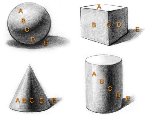 Core Shadow, Cast Shadow, Value Drawing, Classe D'art, Reflected Light, Drawing Hair, Elements And Principles, Art Worksheets, Value In Art