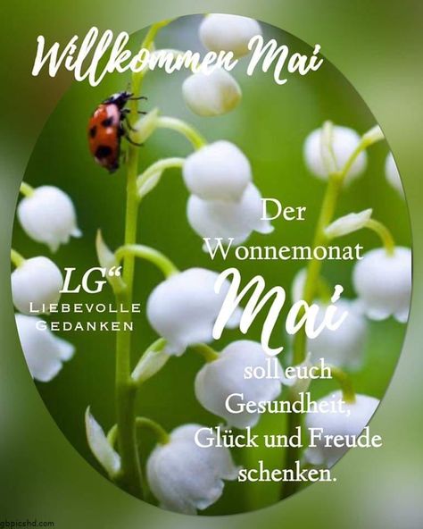 ᐅ 1 mai bilder - Wochentage Bilder GB Pics Good Morning Hug, New Month, Four Seasons, Feel Good, Good Morning