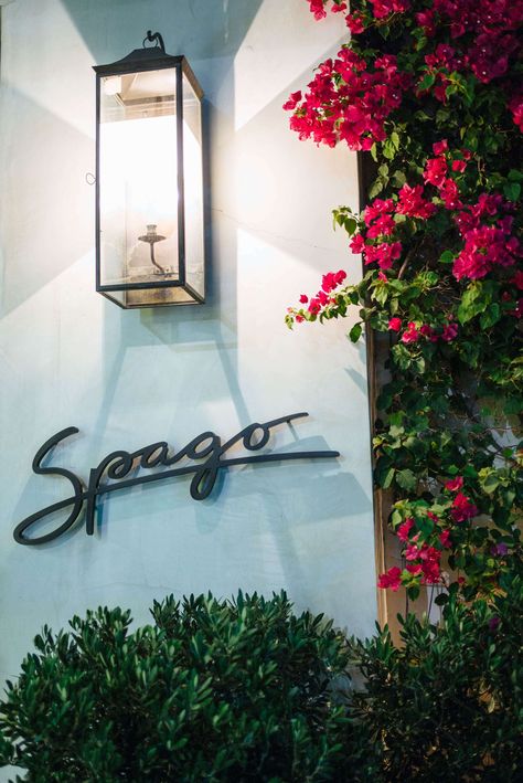 Spago Beverly Hills, Best Restaurants In La, Beverly Hills Los Angeles, Summer Vacation Destinations, Wolfgang Puck, Our Last Night, Winter Destinations, Couple Getaway, Places In Europe