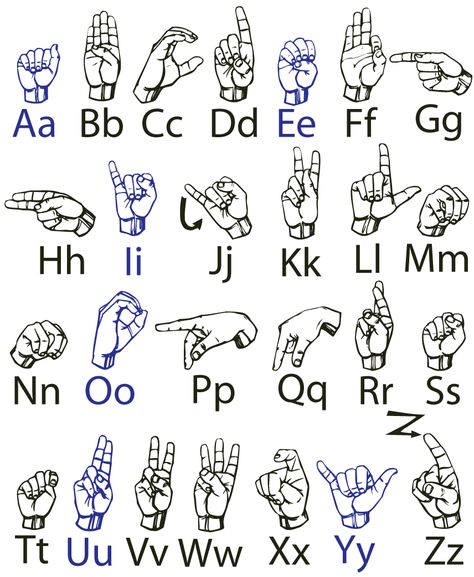 How to Fingerspell the Alphabet in American Sign Language -- via wikiHow.com Black Aizawa, Asl Language, Theo Aesthetic, Alphabet Asl, Lila Aesthetic, Maya Lopez, Sign Language Chart, Abc Chart, Sign Language Phrases