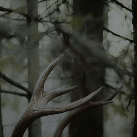 #fairycore #fairygrunge #fairygrungecore #pagan #paganism #witch #witchy #witchyvibes #deer #antlers Thranduil Aesthetic, Between Two Worlds, Vulture Culture, Forest Spirit, Dark Cottagecore, Lee Pace, Thranduil, Legolas, Deer Antlers