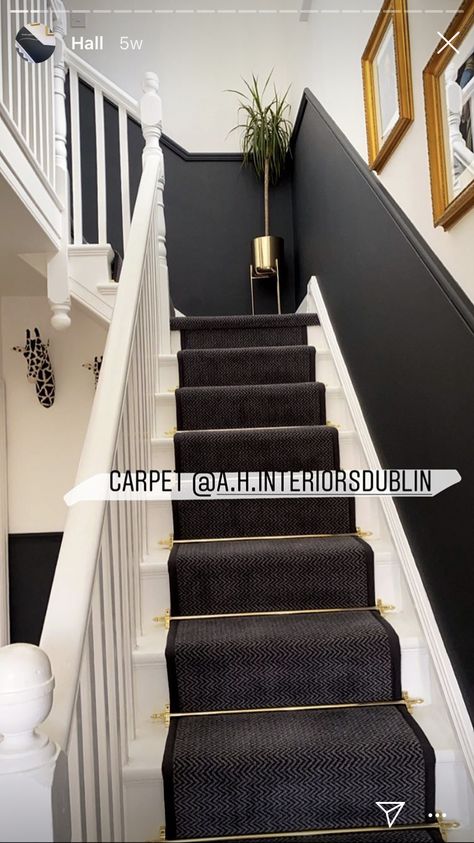 Black Hallway Stairs, Black Panelling Stairs, Grey And Black Staircase, Hallway Panelling Black, Black Hall Stairs And Landing, Black Stair Panelling, Black And Grey Stairs, Dark Stairway Ideas, Black Wall Staircase