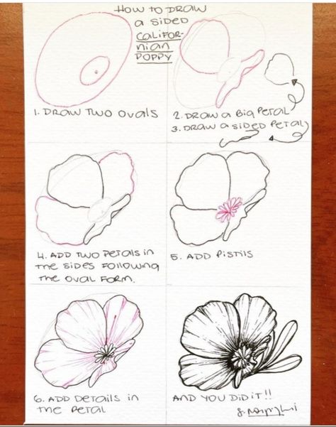 Poppies Sketch, Aesthetic Things To Draw, Drawing Ideas Flowers, Sketch Drawing Ideas, Aesthetic Drawing Ideas, Drawing Ideas Aesthetic, Flowers Step By Step, How To Draw Flowers, Tree Drawings Pencil