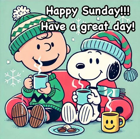 Snoopy Sunday, Snoopy Winter, Winter Sunday, Charlie Brown Characters, Good Morning Winter, Morning Winter, Brown Cafe, Snoopy Pictures, Good Morning Image Quotes