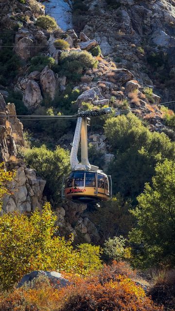 Asya • California • Travel & Lifestyle on Instagram: "Do you know that California has the world’s largest rotating tram car? 🚡 Yes, it is in Palm Springs! 📍𝗣𝗮𝗹𝗺 𝗦𝗽𝗿𝗶𝗻𝗴𝘀 𝗔𝗲𝗿𝗶𝗮𝗹 𝗧𝗿𝗮𝗺𝘄𝗮𝘆. 🚡 The tramway goes 2 miles up to the wilderness of the 𝗠𝘁. 𝗦𝗮𝗻 𝗝𝗮𝗰𝗶𝗻𝘁𝗼 𝗦𝘁𝗮𝘁𝗲 𝗣𝗮𝗿𝗸. 🏔 The top station is located on the elevation 8,516 feet. 🏔 At the top there are two restaurants, observation decks and hiking trails. Best trails to take: 1. Easy: 𝗗𝗲𝘀𝗲𝗿𝘁 𝗩𝗶 Easy Desert, Aerial Tramway, Palm Spring, Sierra Nevada Mountains, San Jacinto, Yes It Is, Sierra Nevada, California Travel, Fun Ideas