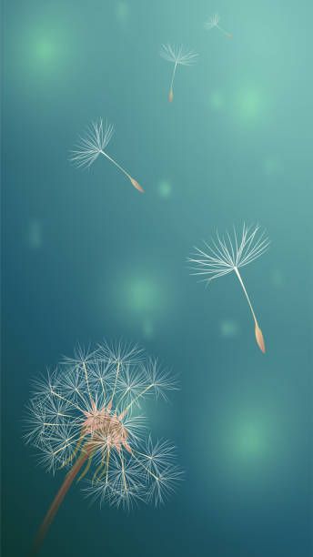 Dandelion Background, Seed Illustration, Dandelion Drawing, Blowing Dandelion, Dandelion Wallpaper, Dandelion Art, Cover Pics For Facebook, White Dandelion, Seamless Wallpaper