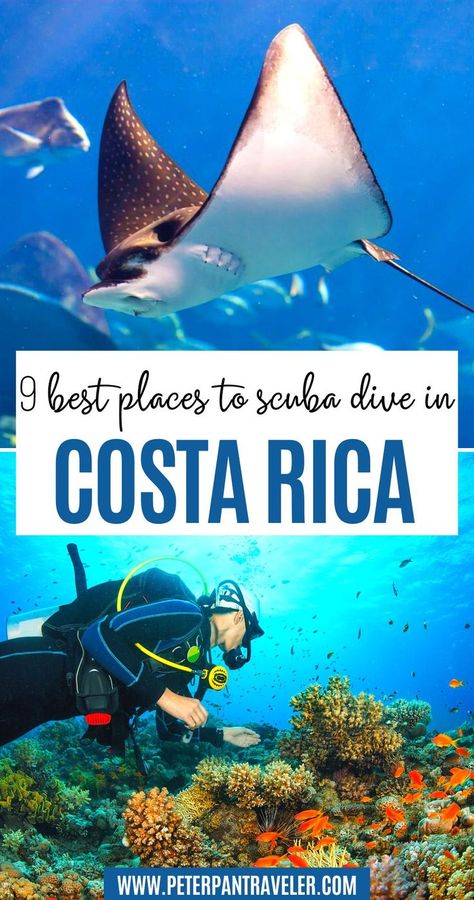 9 Best Places to Scuba Dive in Costa Rica Scuba Diving Costa Rica, Costa Rica Diving, Costa Rica Activities, Samara Costa Rica, Cost Rica, Costa Rica Adventures, Outdoor Adventure Activities, Costa Rica Beaches, Nature Destinations