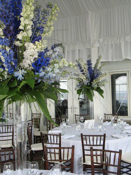 Tall Wedding Centerpieces Royal Blue | tall pislner vase with blue, white & light blue delphinium Delphinium Centerpiece, Flower Delphinium, Blue Wedding Centerpieces, Blue Centerpieces, Tall Wedding Centerpieces, Cheap Wedding Flowers, Modern Wedding Flowers, White Centerpiece, Tropical Wedding Flowers