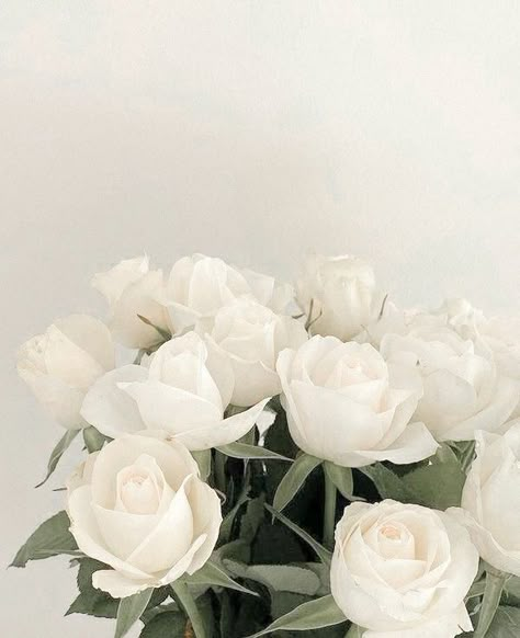 Aesthetic Photo Widget, Widget Board, Photo Widget, Skin Aesthetics, Icon White, Widget For Iphone, Ipad Aesthetic, Cream Aesthetic, Nothing But Flowers