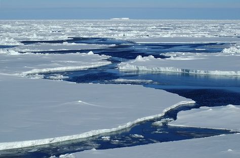 Hope you brought your jacket! Today’s Wonder of the Day is served over ice — at the North and South Poles! Polar Ice Caps Melting, Arctic Sea, Nature Art Prints, Sea Ice, Arctic Ocean, Open Water, Natural Phenomena, 그림 그리기, Ecology