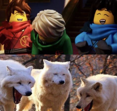 Rgb Siblings, Lloyd Fanart, Ninjago Dragon, Lloyd Ninjago, Lego Ninjago Lloyd, Ninjago Memes, Ninjago Kai, Dragon Rise, Lego Ninjago Movie