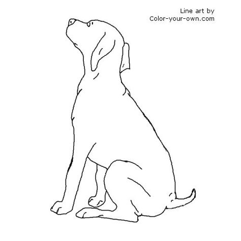 German Shorthair Pointer Puppy Line Art German Shorthaired Pointer Tattoo Outline, Puppy Line Art, German Short Haired Pointer, Black And White Line Drawings, Pointer Puppy, Dorm Prints, German Shorthair Pointer, Pet Tattoos, Dog Line Drawing