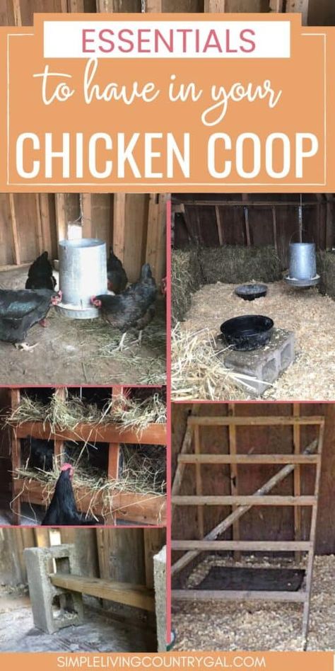 Setting Up Chicken Coop, Hay For Chicken Coop, Chicken Food In Coop, Turning Shed Into Chicken Coop, Chicken Coop Set Up Inside, Chicken Coop Accessories Diy, Chicken Scraps List, Chicken Coop Essentials, Chicken Shed Coop