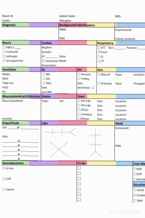 Nursing Handoff Report Template (3) | PROFESSIONAL TEMPLATES Sbar Nursing, Nursing School Organization, Nurse Brain Sheet, Nurse Report Sheet, Charge Nurse, Nursing Assessment, Nursing Mnemonics, Nursing Schools, Nursing School Survival