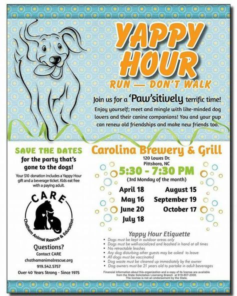 We hope you'll bring your pooches and your family to Yappy Hour tonight at Carolina Brewery! We'll be enjoying the gorgeous weather out on the patio. This is a fun event for your dogs and you, and it's for a great cause. Your support ensures that we can continue our foster care programs, as well as our community education and spay/neuter programs. Thank you!! Animal Shelter Fundraiser, Animal Rescue Fundraising, Dog Fundraiser, Dog Sanctuary, Dog Party Decorations, Resident Events, Shelter Ideas, Dog Shelter, Dog Grooming Salons