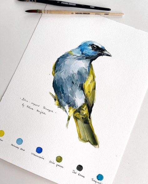 Polina Bright Birds, Gouache Birds, Watercolor Board, Polina Bright, Birds Watercolor, Watercolor Art Diy, Card Watercolor, Dark Art Tattoo, Hinduism Art