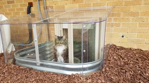 Window Well Cat Enclosure, Window Well For Cats, Egress Window Catio, Cat Basement Ideas, Basement Window Well Catio, Window Well Catio, Basement Window Catio, Cat Sunroom, Window Well Decorating Ideas