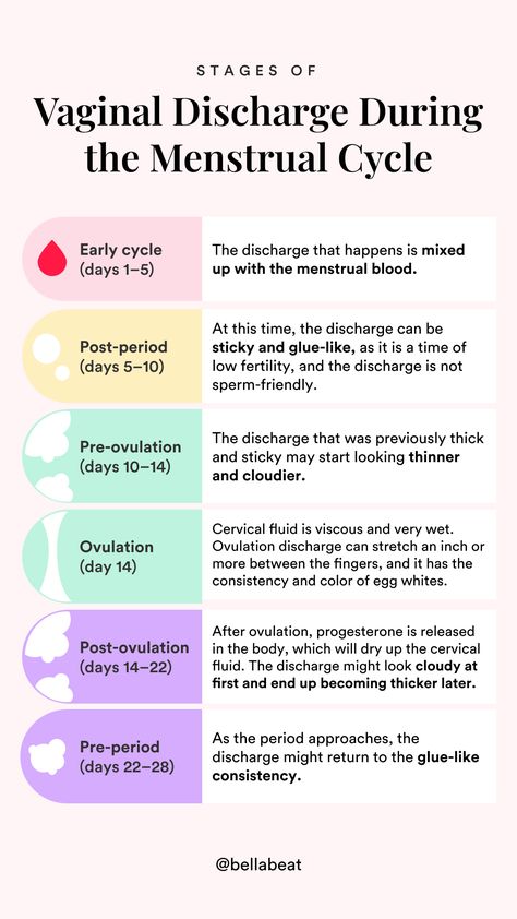 Ovulation Cycle, Ovulation Tracking, Cervical Mucus, Too Much Estrogen, Menstrual Health, Feminine Health, Hormone Health, Getting Pregnant, Womens Health