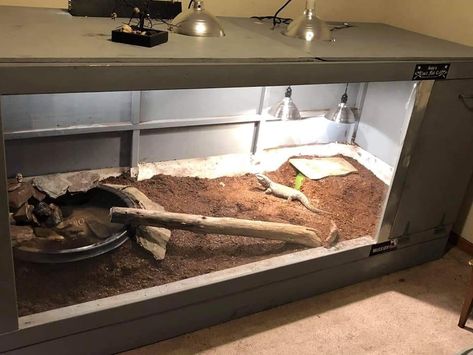 Big Reptile Enclosure, Tegu Lizard Enclosure, Ackie Monitor Enclosure, Monitor Enclosure, Monitor Lizard Enclosure, Savannah Monitor Enclosure, Tegu Enclosure, Diy Bearded Dragon Cage, Tegu Lizard