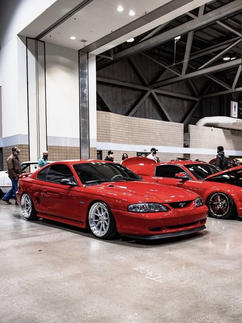 Sn95 Cobra Mustang, New Edge Mustang Gt, Sn95 Mustang Gt, 1996 Mustang, 1999 Mustang, Mustang Drift, 2002 Ford Mustang Gt, 2007 Mustang Gt, Mustang 1995