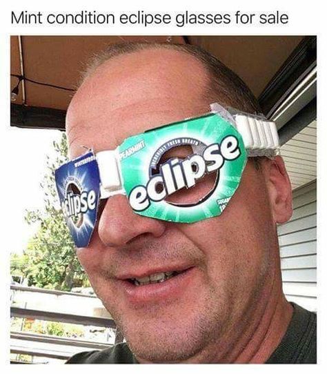 Eclipse Glasses, Epic Fails Funny, Solar Eclipse, Funny Pins, Ipa, Bones Funny, Best Memes, Funny Cute, Funny Photos