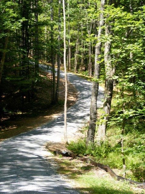 I am going to have a Long winding driveway | ... acres with a long driveway winding through the woods and streams, where you can't see my house from the road. House Entrance Landscape, Winding Driveway, Entrance Landscape, Driveway Landscape, Driveway Materials, Driveway Entrance Landscaping, Long Driveway, California Backyard, Night Landscape Photography