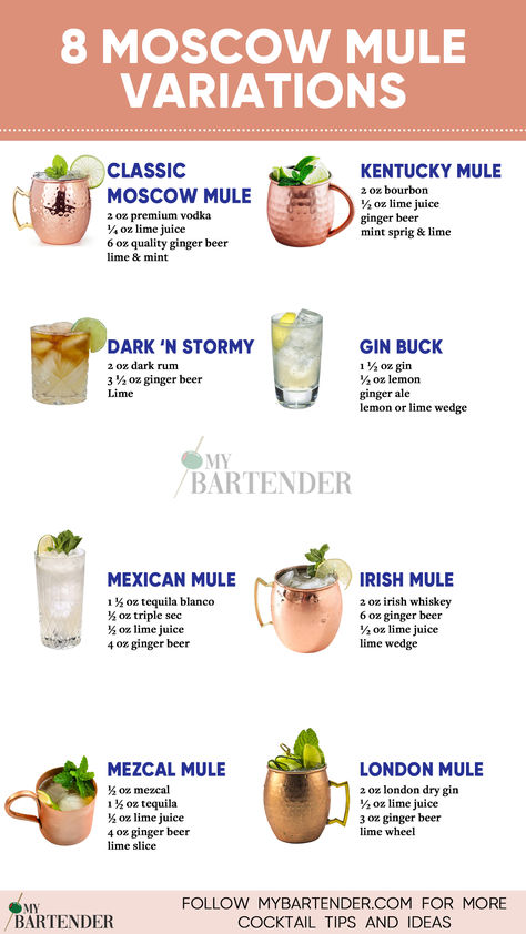 Moscow Mule Variations Types Of Mules Drinks, Mule Drink Recipes Whiskey, How To Make A Moscow Mule, Russian Mule Recipe, Moscow Mule Bachelorette Party, Virgin Mule Recipe, Healthy Moscow Mule, Different Mule Drinks, Mexican Mule Cocktail