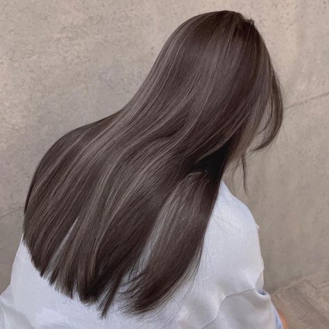 Korean Hair Color, Hair Color Underneath, Ash Hair Color, Hair Color Streaks, Pretty Hair Color, Haircuts Straight Hair, Hair Stylist Life, Dye My Hair, Hair Dye Colors