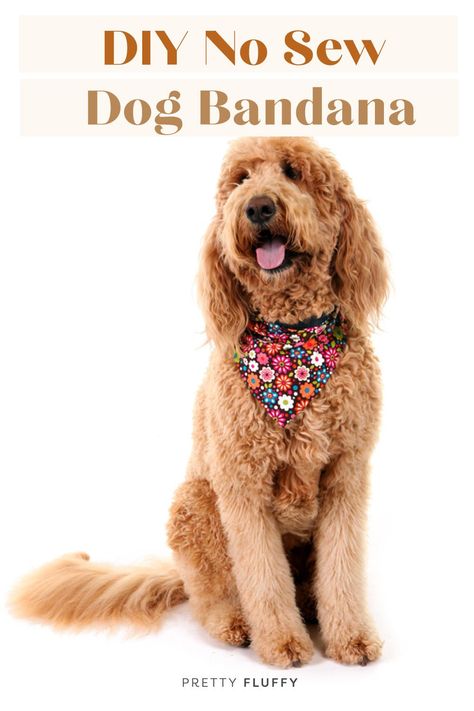 DIY No Sew Dog Bandana No Sew Dog Bandana Free Pattern, How To Make Dog Bandanas No Sew, How To Make A Dog Bandana, Diy Dog Bandana No Sew, No Sew Dog Bandana, Sew Dog Bandana, Sew Dog Clothes, Ariel Stuff, Dog Bandana Tutorial