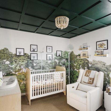 Baby Lovato Nursery - Honeycomb Home Design Jungle Toddler Room, Jungle Theme Rooms, Basic Room, Jungle Themed Nursery, Nursery Interior Design, Jungle Theme Nursery, Nursery Room Design, Jungle Nursery, Baby Room Inspiration