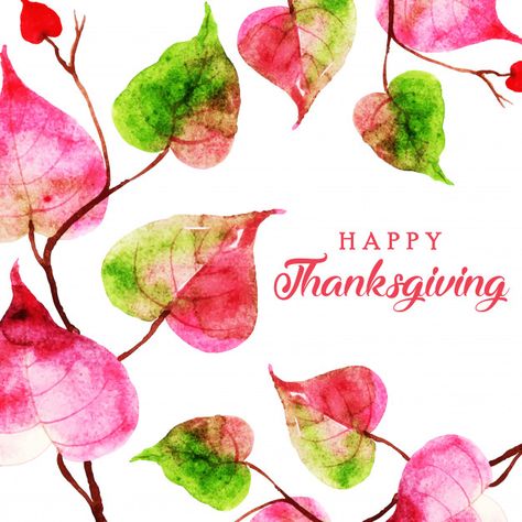 Happy Thanksgiving Aka, Happy Thanksgiving Aka Sorors, Aka Thanksgiving, Sorority Paraphernalia, Alpha Kappa Alpha Sorority Paraphernalia, Holiday Wallpapers, Skee Wee, Pinky Swear, Green Ideas