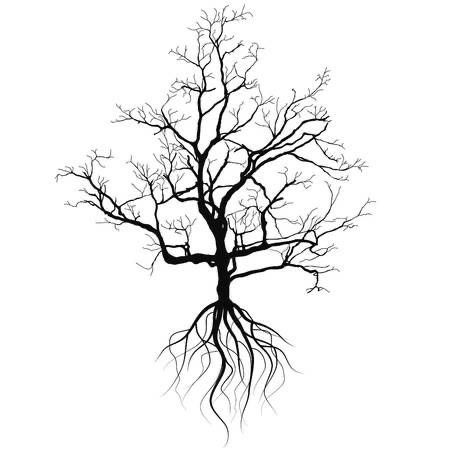 Rooted Tree Tattoo, Bare Tree Tattoo, Creepy Tree Tattoo, Poison Tree Tattoo, Tree With Roots Tattoo, Dead Tree Tattoo, Roots Drawing, Tree Silhouette Tattoo, Tree Roots Tattoo