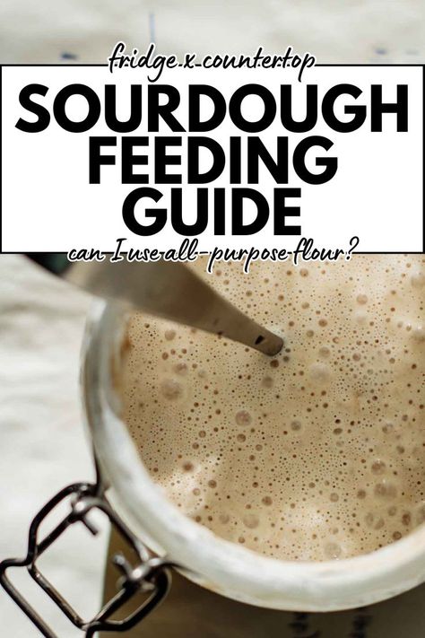 How to feed sourdough starter. Feeding Sourdough Starter, Feeding Sourdough, Culinary Basics, Recipe Using Sourdough Starter, Dough Starter, Homemade Sourdough Bread, Whole Grain Flour, Homemade Sourdough, Sourdough Starter Recipe