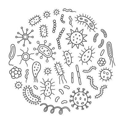 Pathogenic virus,germs, microorganisms,microbe isolated on light background.Collection of colored cartoon viruses and bacteria with bright multicolored text.Vector flat illustration. 11448064 Vector Art at Vecteezy Microorganisms Art, Hand Drawn Vector Illustrations, Sketch Style, Hand Drawn Vector, Cityscape Photos, Logo Banners, Light Background, Heart With Arrow, Flat Illustration