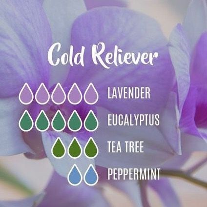 Essential Oils For Colds, Essential Oil Combinations, Doterra Essential Oils Recipes, Essential Oil Diffuser Blends Recipes, Essential Oil Remedy, Young Living Essential Oils Recipes, Essential Oils Guide, Oil Diffuser Recipes, Essential Oil Diffuser Recipes