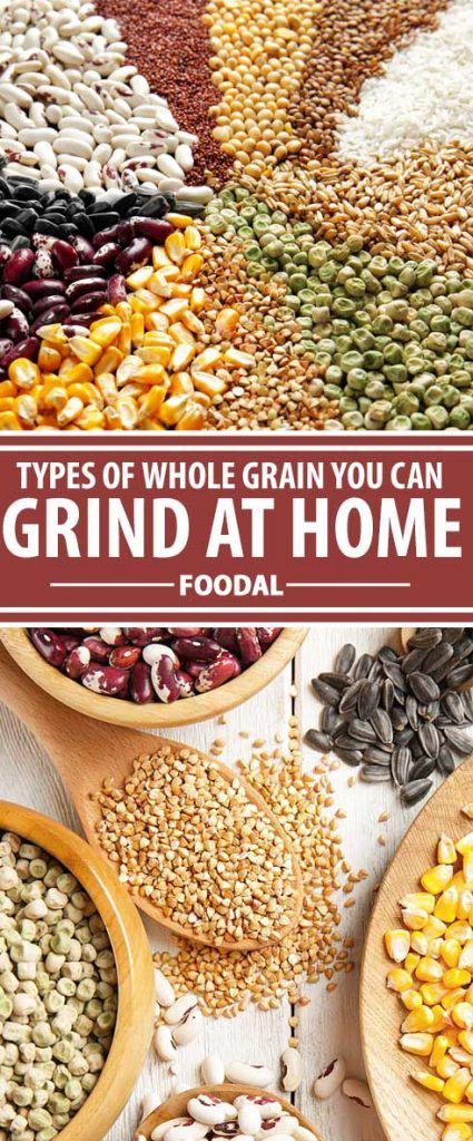 Milling your own whole grain flour ensures the freshest quality and top nutrition, and our purchasing guide has great sources for the best online deals. Growing Wheat For Flour, Growing Grains At Home, Home Milled Flour Recipes, Bean Flour Recipes, Flour Milling, How To Make Flour, Whole Grain Cereals, Homemade Pantry, Silent Killer