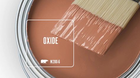 OXIDE M200-6 | Behr Paint Colors Behr Terra Cotta Paint Colors, Spice Paint Color, Orange Bathroom Paint, Mexico Interior, Boho Paint Colors, Sage House, Home Depot Paint, Bold Paint Colors, Outside Paint