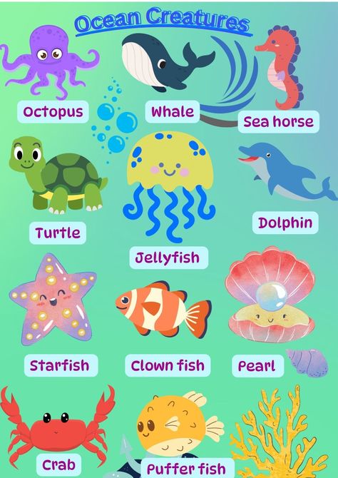 Ocean 🪸🌊 creatures 🐳🦀🦐🐡🦪🐙🐠#underthesea Animals List, Sea Animal Crafts, Under The Sea Animals, Underwater Animals, List Of Animals, Sea Animal, Clown Fish, Ocean Creatures, Animal Crafts