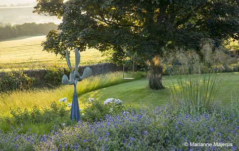 Isolated Idyll - Acres Wild Country Garden Designers | Sussex Acres Wild, Wild Gardens, Country Garden Design, Wild Meadow, Wild Flower Meadow, South Downs, Meadow Garden, Minimalist Garden, Wild Country