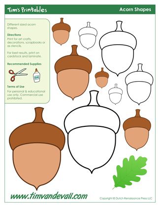 Acorn Template, Felt Acorns, Fall Sensory, Felt Templates, Acorn Crafts, Felt Toys Patterns, Felt Animal Patterns, Baby Rosa, Shape Templates