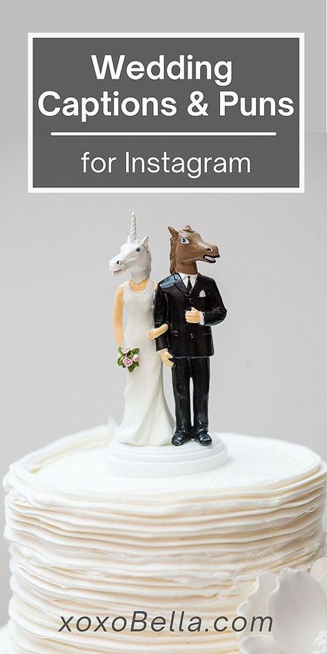 Wedding Instagram Captions, Quotes About Love And Marriage, Cricket Wedding, Wedding Slogans, Shrek Wedding, Engagement Captions, Wedding Puns, Wedding Jokes, Wedding Guests Photos